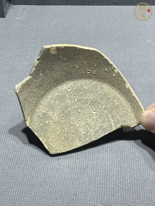 古玩陶瓷杭官窯標本真品鑒賞圖