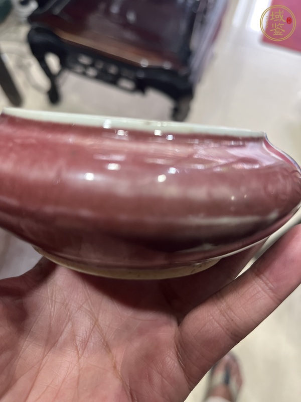 古玩晚清郎紅釉水盂真品鑒賞圖