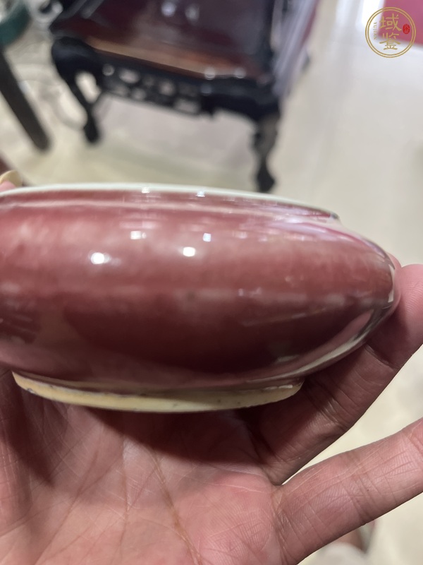古玩陶瓷晚清郎紅釉水盂真品鑒賞圖