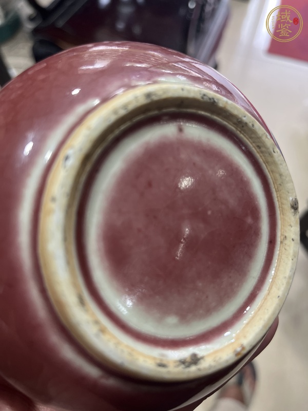 古玩陶瓷晚清郎紅釉水盂真品鑒賞圖