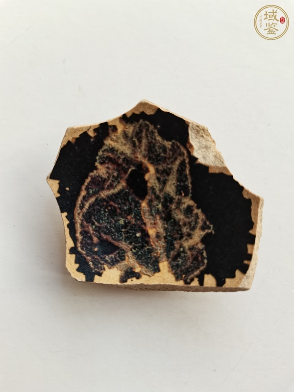 古玩陶瓷吉州窯木葉標(biāo)本真品鑒賞圖