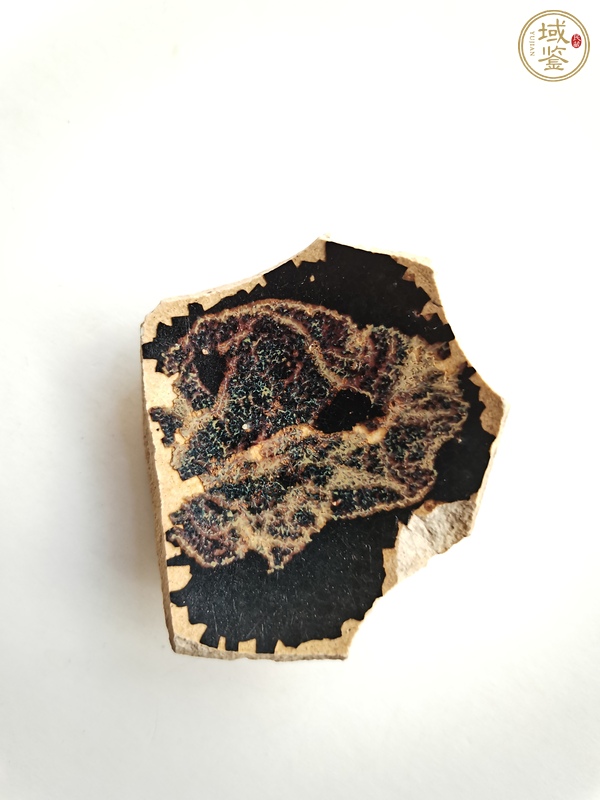 古玩陶瓷吉州窯木葉標(biāo)本真品鑒賞圖