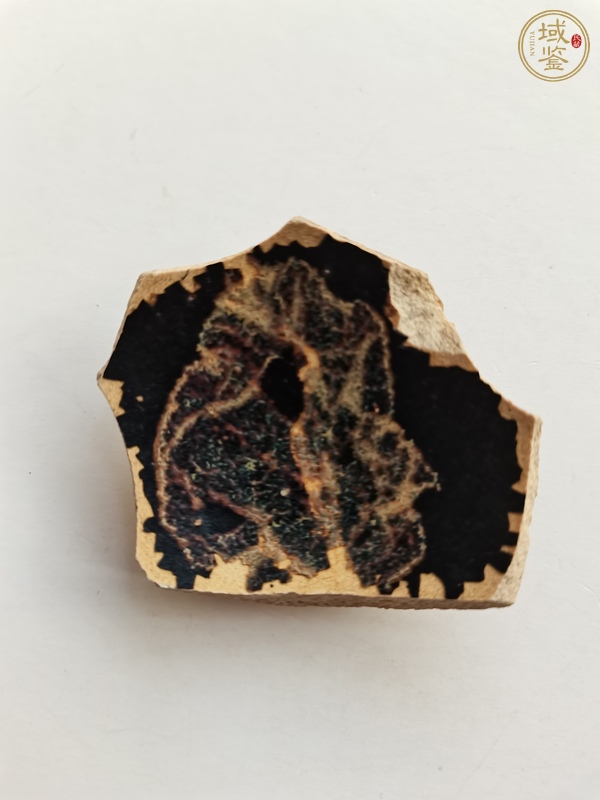 古玩陶瓷吉州窯木葉標(biāo)本真品鑒賞圖