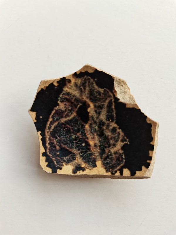 古玩陶瓷吉州窯木葉標本拍賣,當前價格0元