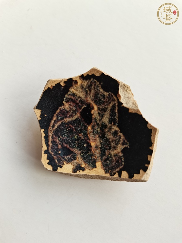 古玩陶瓷吉州窯木葉標(biāo)本真品鑒賞圖