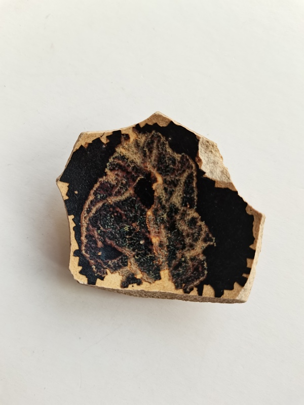 古玩轉(zhuǎn)賣(mài)吉州窯木葉標(biāo)本拍賣(mài),當(dāng)前價(jià)格198元
