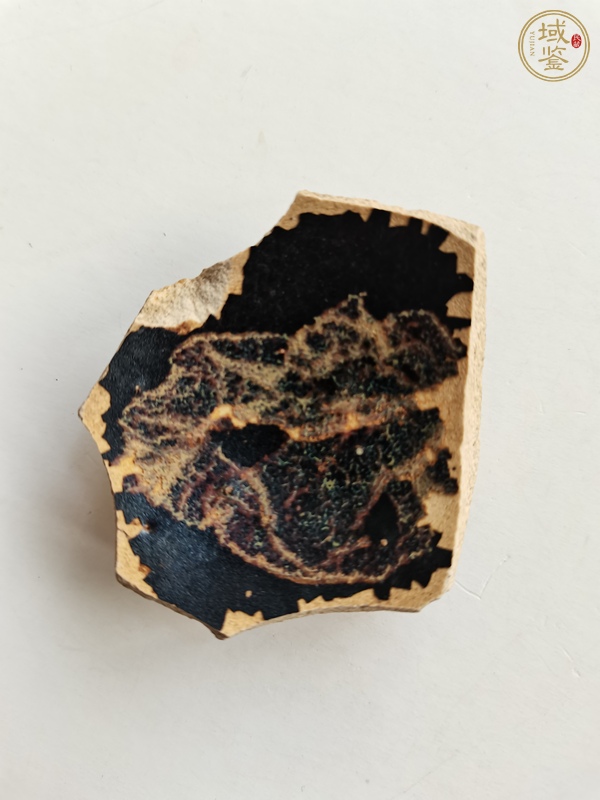 古玩陶瓷吉州窯木葉標(biāo)本真品鑒賞圖