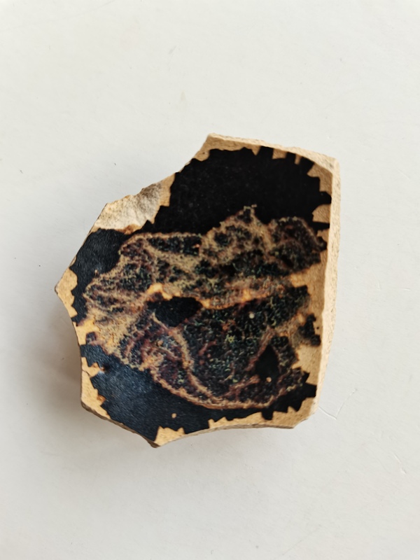 古玩陶瓷吉州窯木葉標本拍賣,當前價格0元