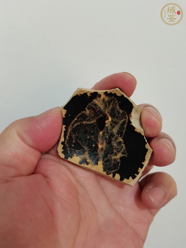 古玩陶瓷吉州窯木葉標(biāo)本真品鑒賞圖