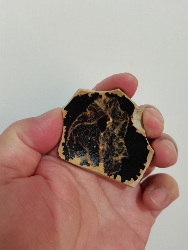 古玩陶瓷吉州窯木葉標本拍賣,當前價格0元
