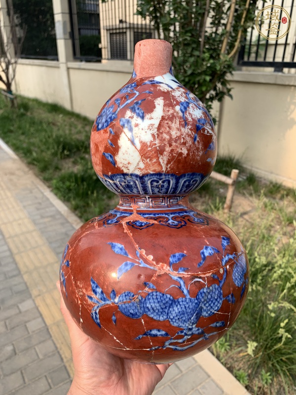古玩珊瑚紅地青花瑞果花卉紋葫蘆瓶真品鑒賞圖