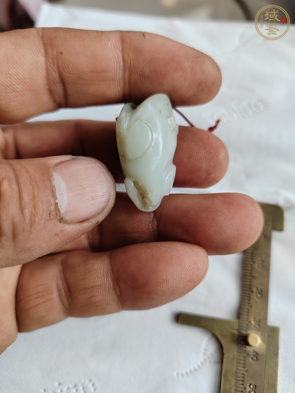 古玩玉器金蟾真品鑒賞圖