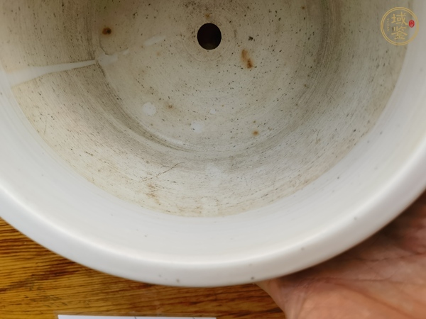 古玩陶瓷粉彩夔鳳紋花盆真品鑒賞圖
