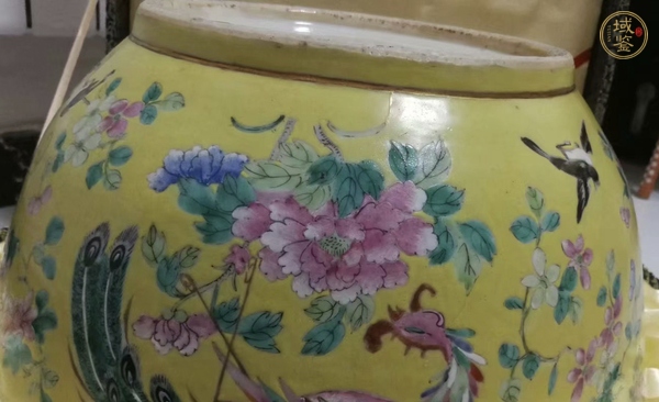 古玩陶瓷黃地粉彩鳳穿牡丹圖大碗真品鑒賞圖