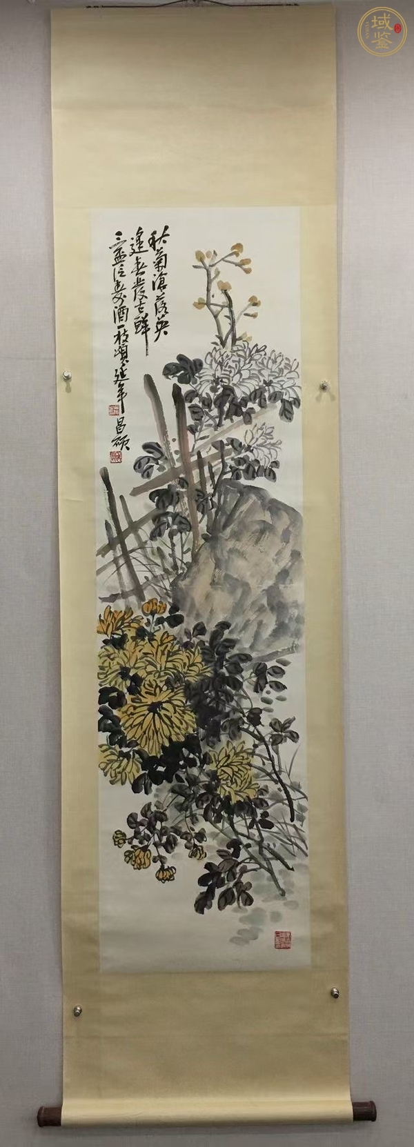 古玩菊石圖真品鑒賞圖