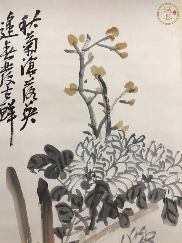 古玩字畫菊石圖真品鑒賞圖