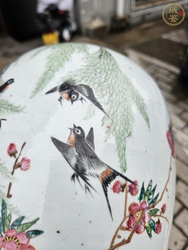 古玩陶瓷粉彩花鳥紋罐真品鑒賞圖