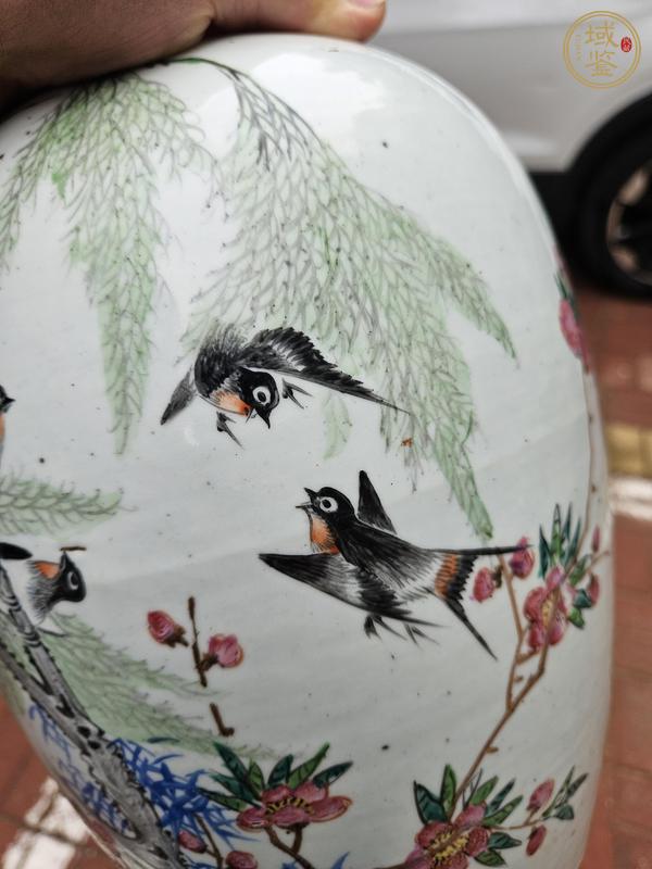 古玩陶瓷粉彩花鳥紋罐真品鑒賞圖