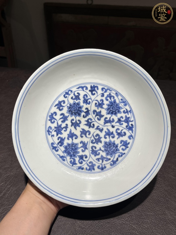 古玩明嘉靖青花卷草龍紋盤真品鑒賞圖
