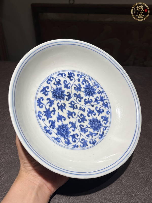 古玩陶瓷明嘉靖青花卷草龍紋盤真品鑒賞圖