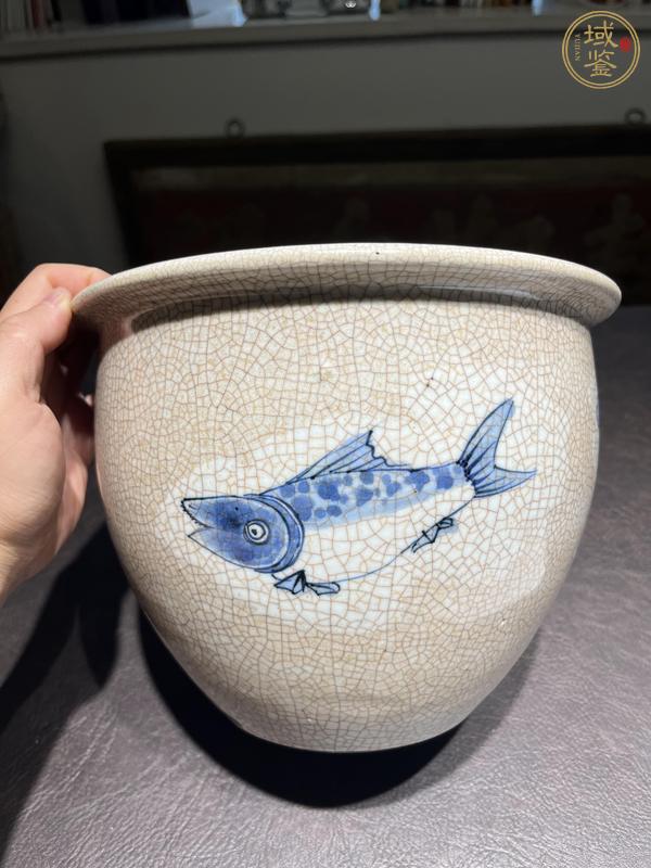 古玩陶瓷哥釉地青花缸真品鑒賞圖