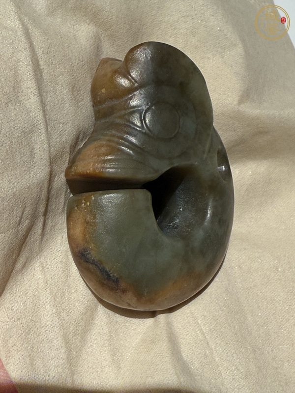 古玩紅山玉豬龍真品鑒賞圖