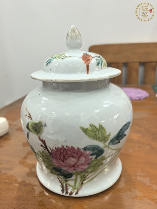 古玩花鳥紋罐真品鑒賞圖