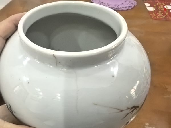 古玩陶瓷花鳥紋罐真品鑒賞圖