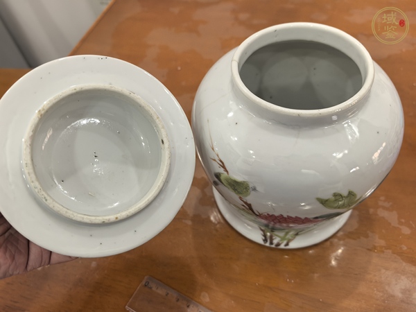 古玩陶瓷花鳥紋罐真品鑒賞圖