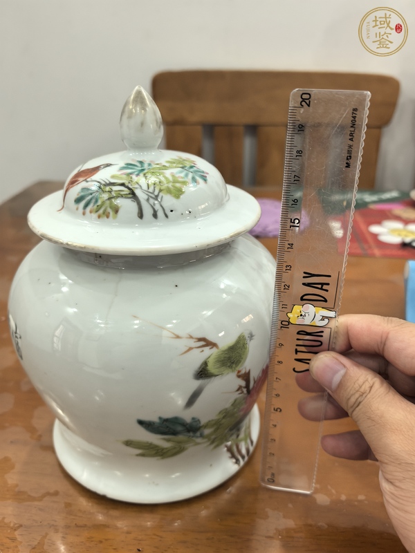 古玩陶瓷花鳥紋罐真品鑒賞圖