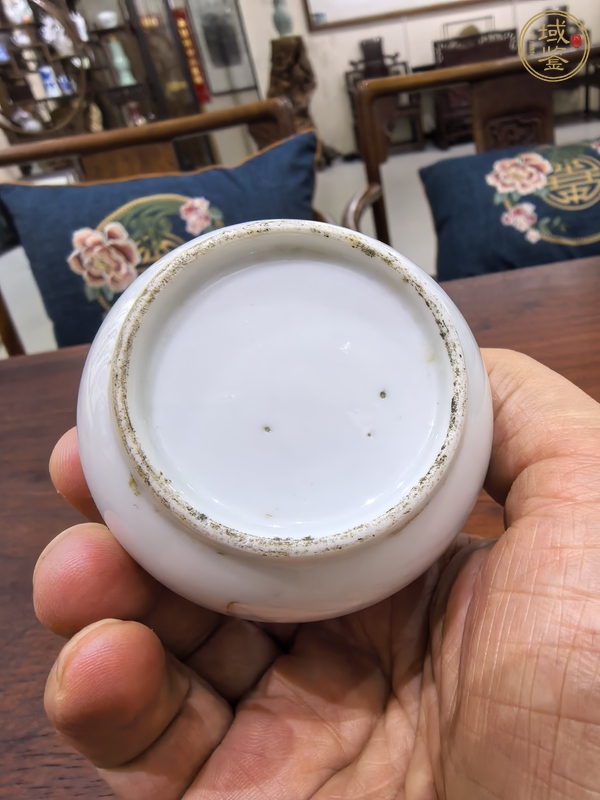 古玩陶瓷礬紅描金花卉水洗真品鑒賞圖