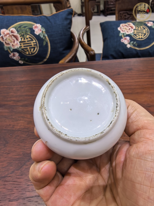 古玩陶瓷礬紅描金花卉水洗真品鑒賞圖
