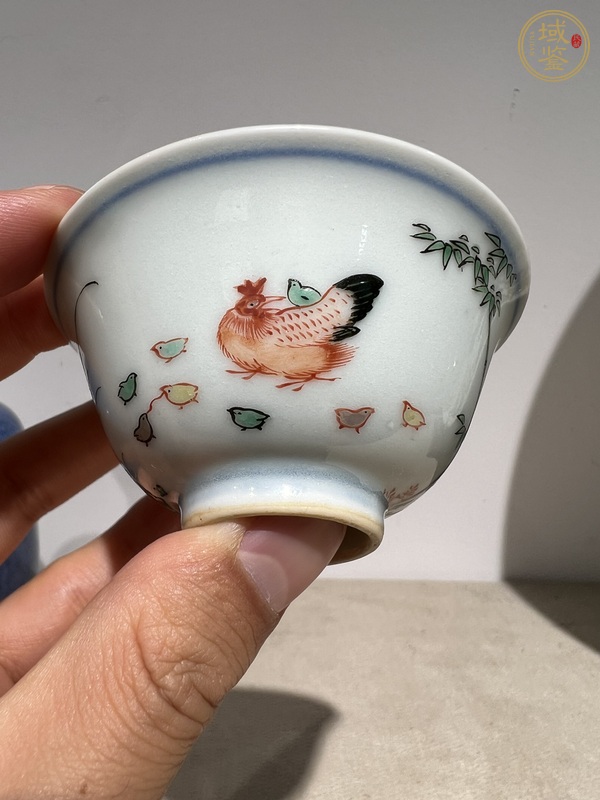 古玩陶瓷日本青花五彩魚藻洞石竹子雞紋杯真品鑒賞圖