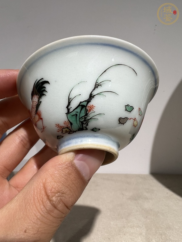 古玩陶瓷日本青花五彩魚藻洞石竹子雞紋杯真品鑒賞圖