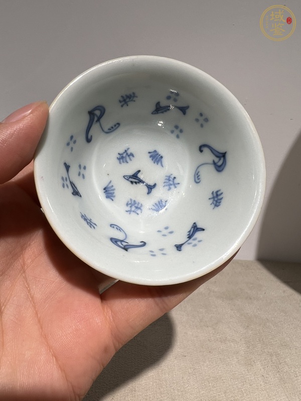 古玩陶瓷日本青花五彩魚藻洞石竹子雞紋杯真品鑒賞圖