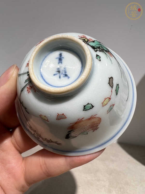 古玩陶瓷日本青花五彩魚藻洞石竹子雞紋杯真品鑒賞圖