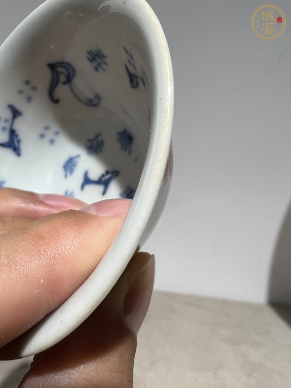 古玩陶瓷日本青花五彩魚藻洞石竹子雞紋杯真品鑒賞圖