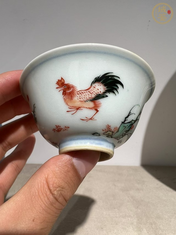 古玩陶瓷日本青花五彩魚藻洞石竹子雞紋杯真品鑒賞圖