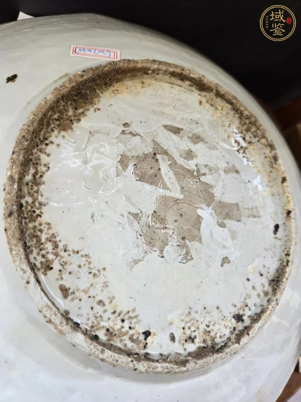 古玩陶瓷紅綠彩鳳凰花卉紋盤真品鑒賞圖