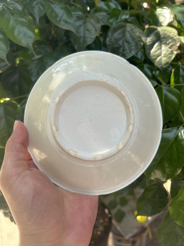 古玩陶瓷館藏級精品五代十國宣州白釉葵口盤拍賣，當前價格5980元