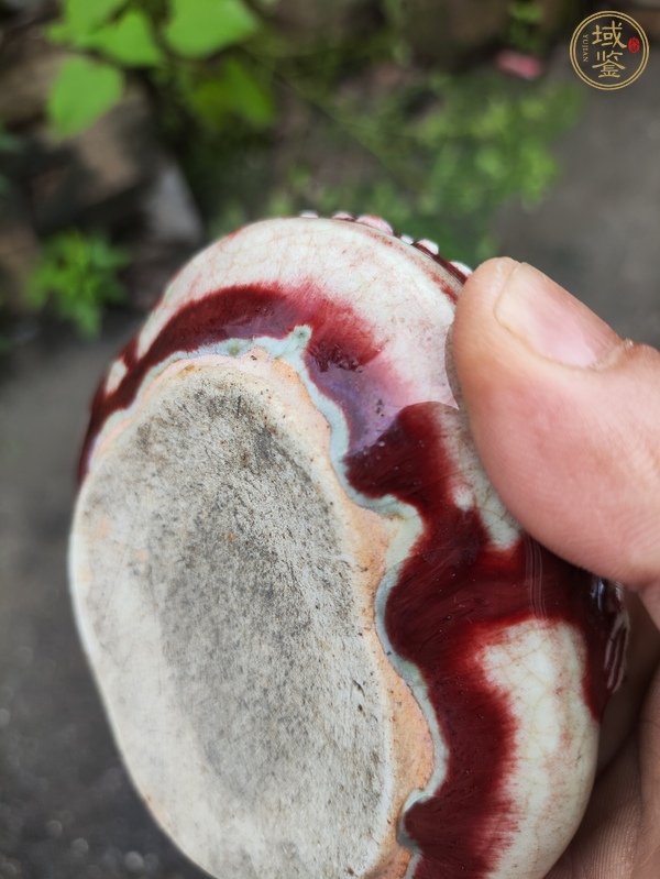 古玩陶瓷清中期紅釉堆塑松鼠葡萄文房筆洗真品鑒賞圖