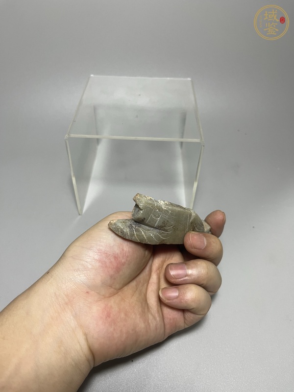 古玩陶瓷玉豬真品鑒賞圖