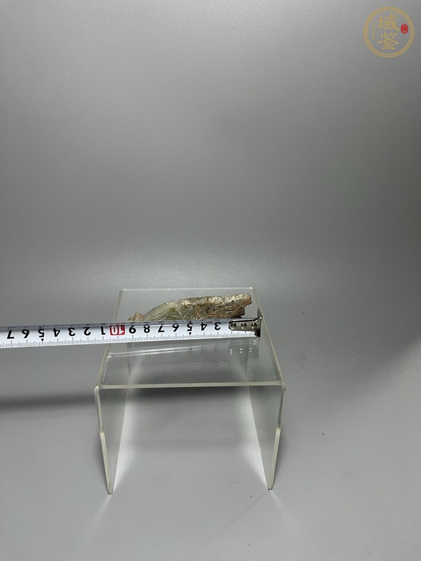 古玩陶瓷玉豬真品鑒賞圖