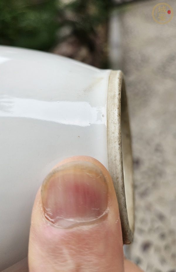 古玩陶瓷粉彩花鳥(niǎo)紋雙耳瓶真品鑒賞圖