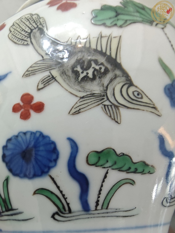 古玩陶瓷清晚期 五彩魚藻紋梅瓶真品鑒賞圖