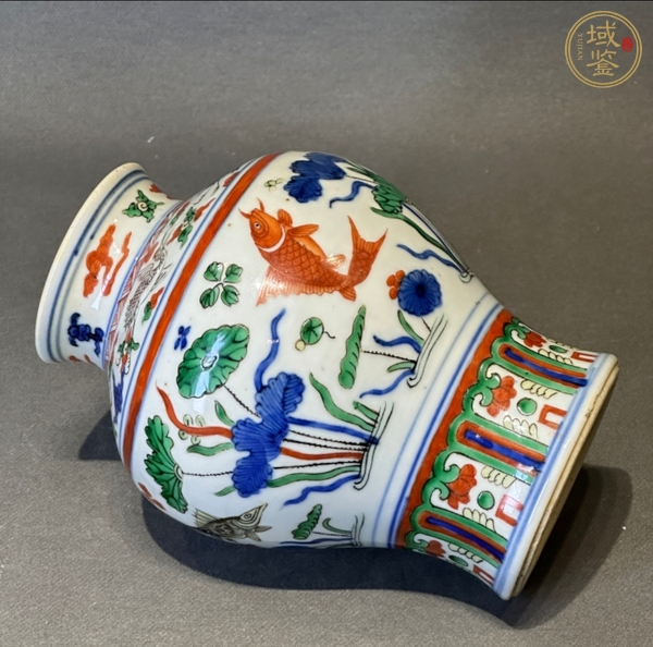古玩陶瓷清晚期 五彩魚藻紋梅瓶真品鑒賞圖