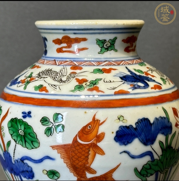古玩陶瓷清晚期 五彩魚藻紋梅瓶真品鑒賞圖