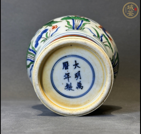 古玩陶瓷清晚期 五彩魚藻紋梅瓶真品鑒賞圖