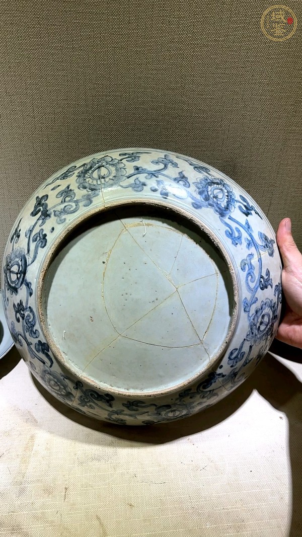 古玩陶瓷青花鳳紋盤真品鑒賞圖