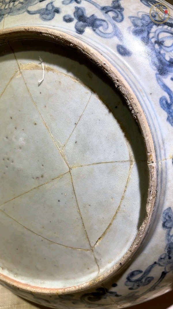 古玩陶瓷青花鳳紋盤真品鑒賞圖
